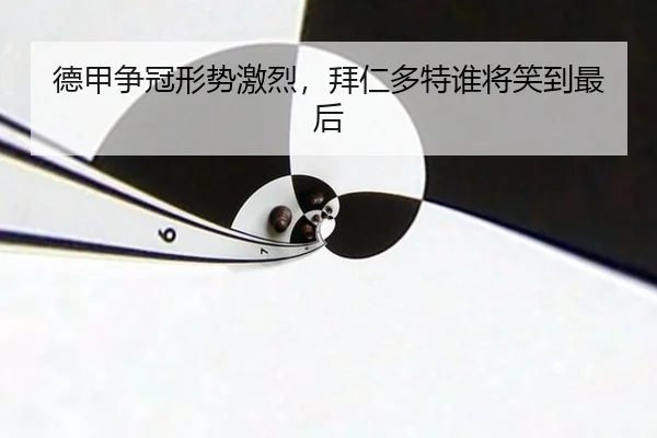 de-jia-zheng-guan-xing-shi-ji-lie-bai-ren-duo-te-shui-jiang-xiao-dao-zui-hou-2-106.jpg
