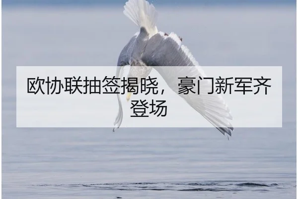 欧协联抽签揭晓，豪门新军齐登场